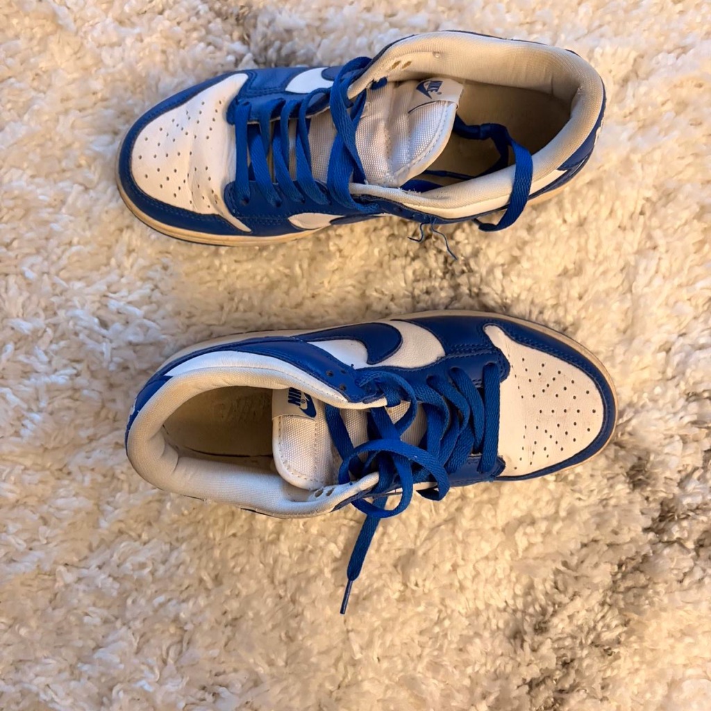Nike Dunks Kentucky